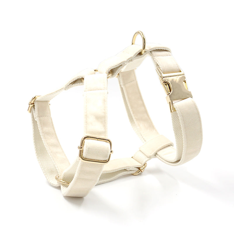 Dog Bowtie Collar and Leash Set