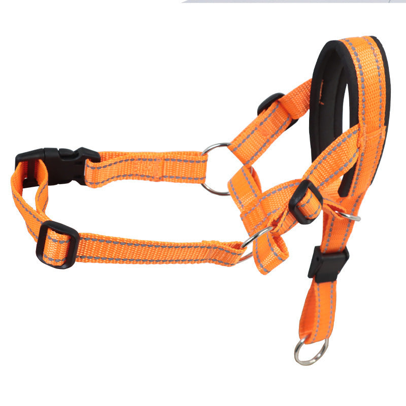 Nylon Dog Muzzle and Leash
