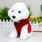 Dog Leash and Harness