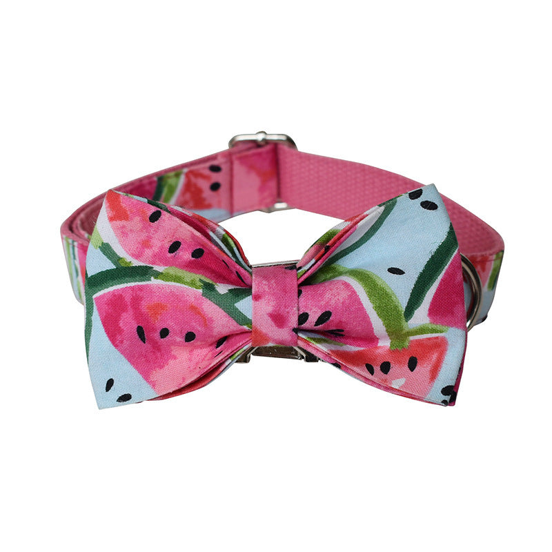 Printed Dog Collar and Leash
