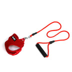 Dog Leash and Harness