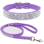 Dog Collar Dog Leash1