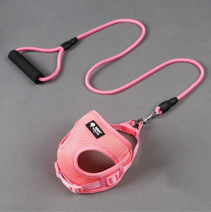 Dog Leash and Harness