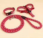 Pet Leash and Collar Set