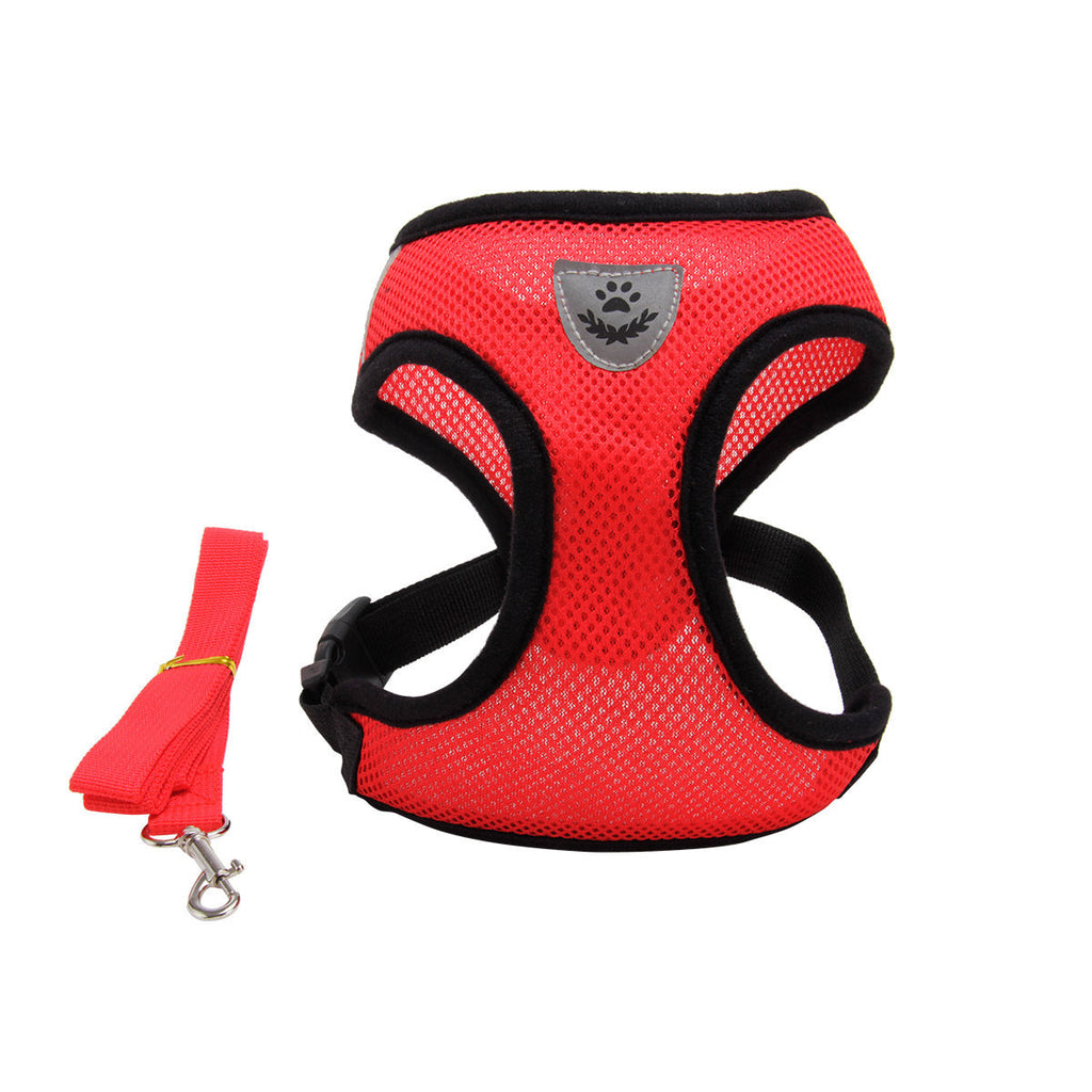 Dog Harness and Leash Fashionable High-end Multi-colour