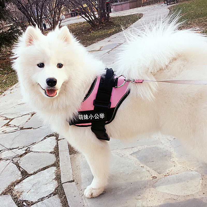 Simple Pet Chest Strap Harness and Leash Set