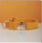 Multiple Color Velvet Dog Collar