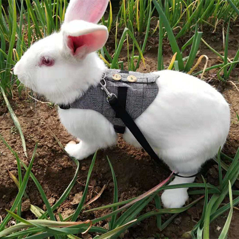 Small Animal Harness Vest and Leash Rabbit Harness Dress
