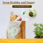 Stick On Wall Catnip Balls For Cats - Catnip Toys