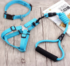 Dog Collar and Leash