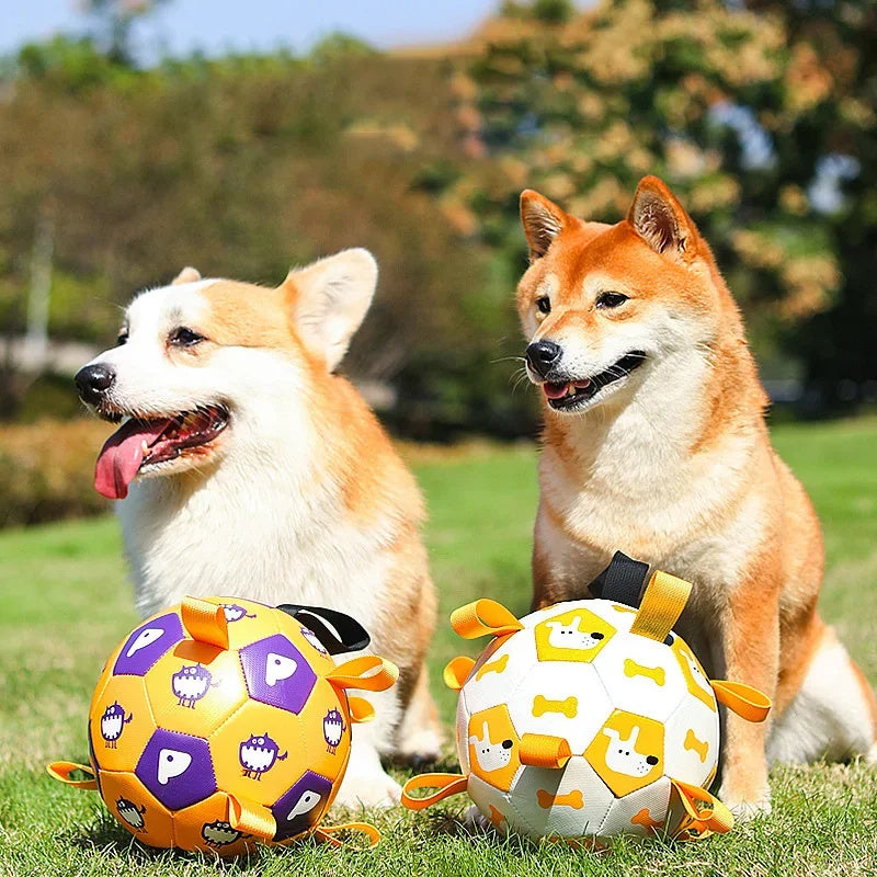 Interactive Dog Football Toy - Soccer Teething Ball With Cute Printing