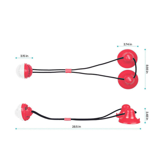 Suction Cup Molar Chew Toy Main Image