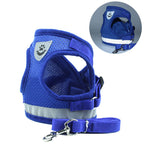 Pet Car Seat Belt Harness & Leash