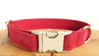 Pet Traction Collar and Leash