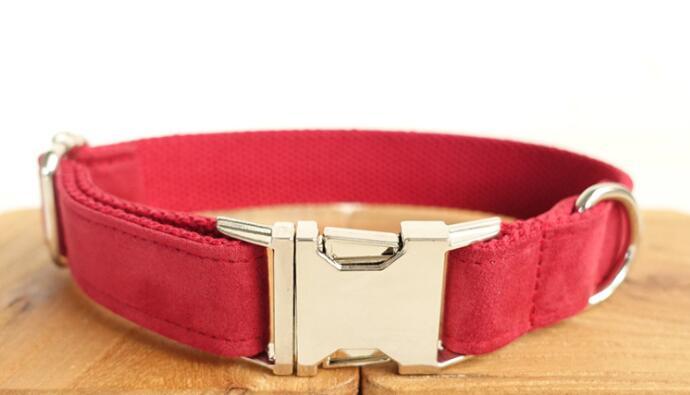 Pet Traction Collar and Leash