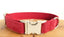 Pet Traction Collar and Leash