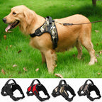 Dog Chest Harness