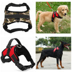 Dog Chest Harness