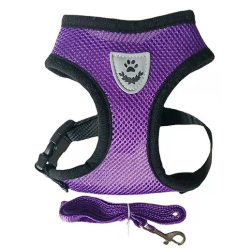 Dog Harness and Leash Fashionable High-end Multi-colour