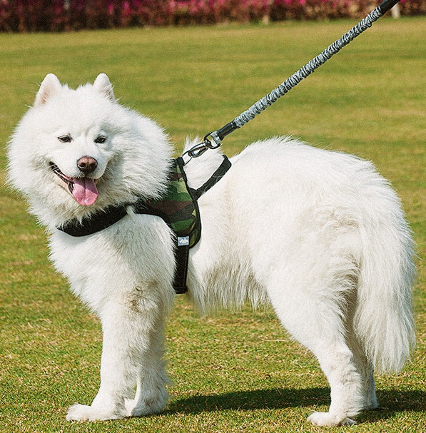 Pet Leash Dog Chest harness Dog leash Hover Image