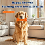 Dog Dental Care Cleaning Sticks Chew Toys - Safe Teeth Cleaning