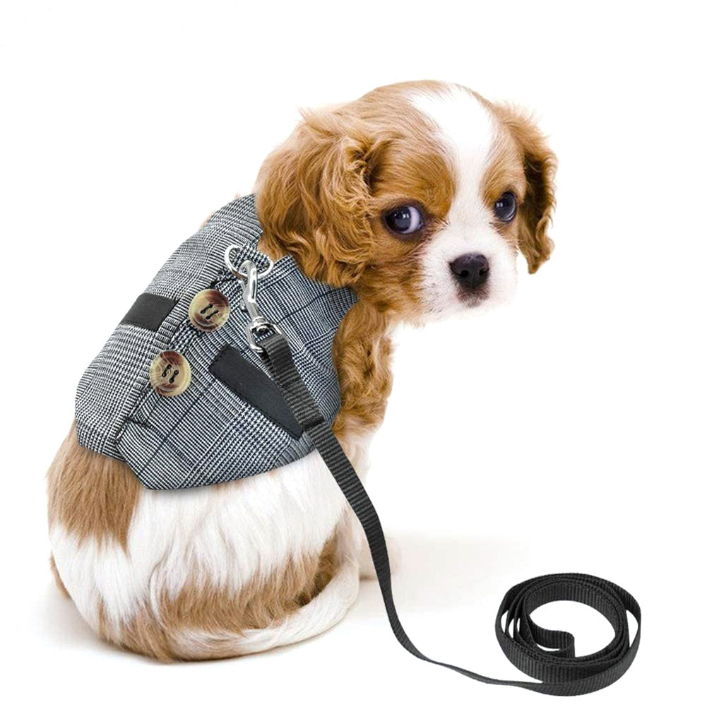 Small Animal Harness Vest and Leash Rabbit Harness Dress