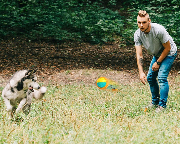 ABS Chew Resistant Throwing Ball Toy