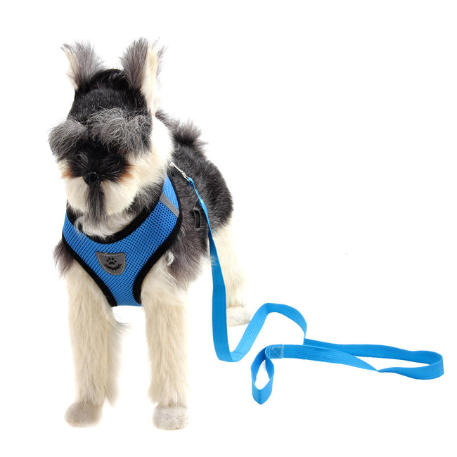 Dog Harness and Leash Fashionable High-end Multi-colour Main Image
