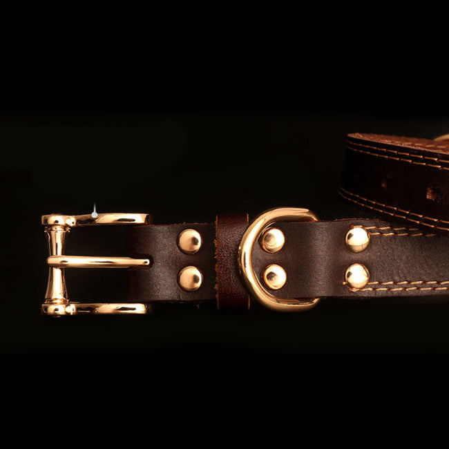 Genuine Leather Dog Collars with Engraved Nameplate Main Image