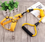 Dog Collar and Leash