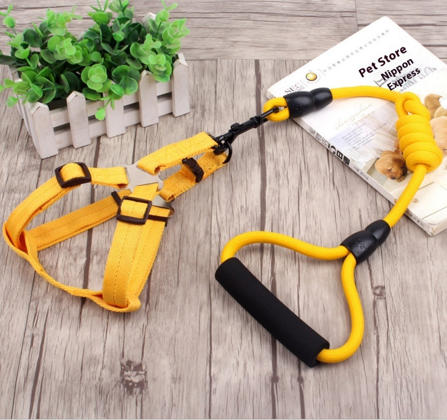 Dog Collar and Leash