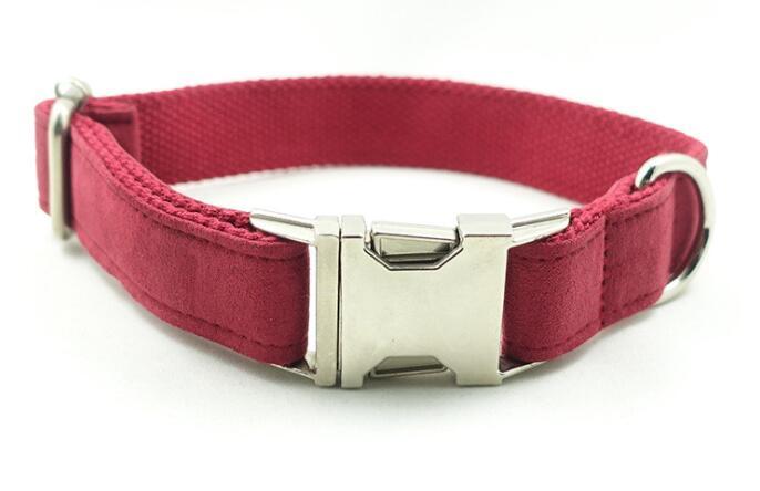 Pet Traction Collar and Leash