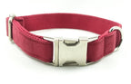 Pet Traction Collar and Leash