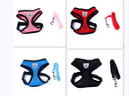Pet Car Seat Belt Harness & Leash