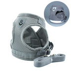 Pet Car Seat Belt Harness & Leash