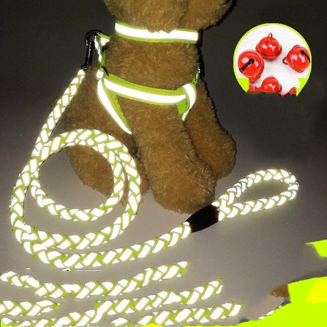 Pet Leash and Collar Set Hover Image
