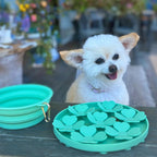 DOGUE Slow Feeder Flower