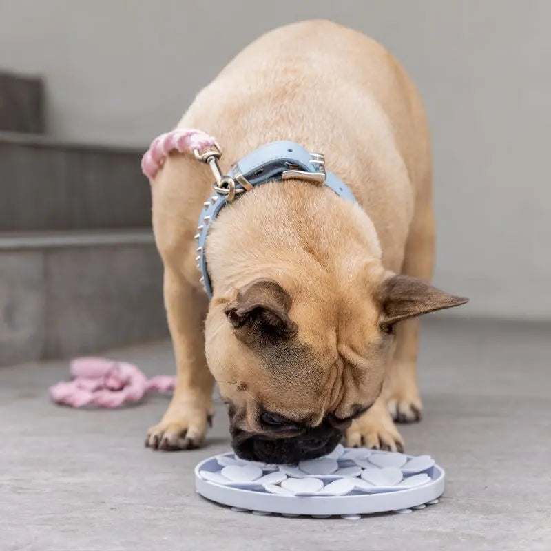DOGUE Slow Feeder Flower