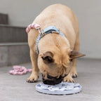 DOGUE Slow Feeder Flower