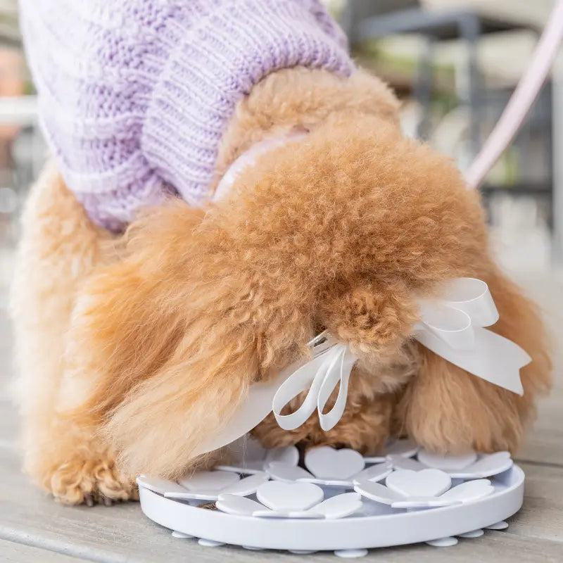 DOGUE Slow Feeder Flower