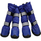 Big Dog Non Slip Shoes