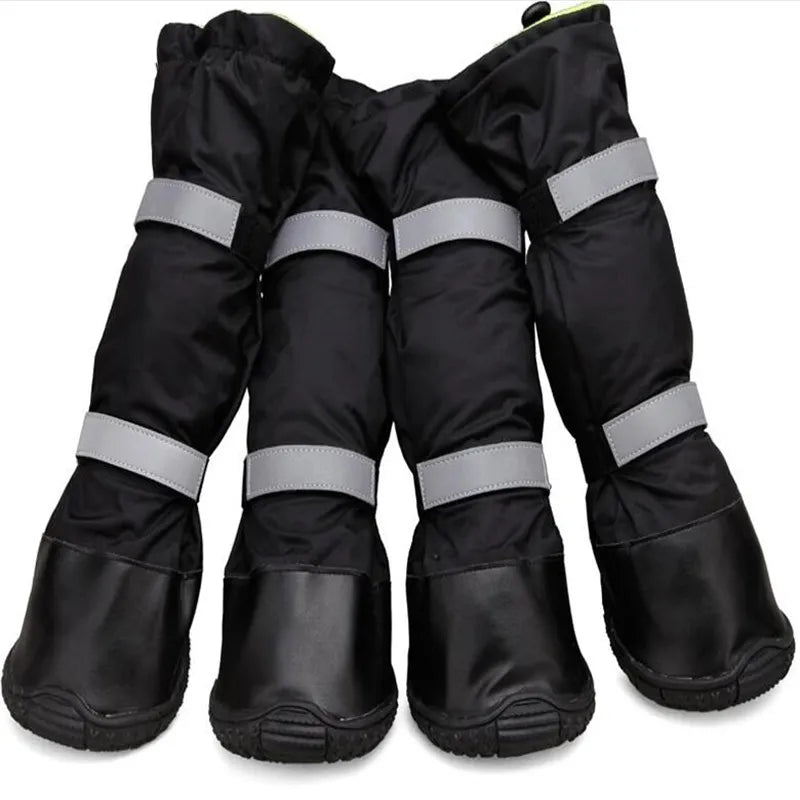 Big Dog Non Slip Shoes