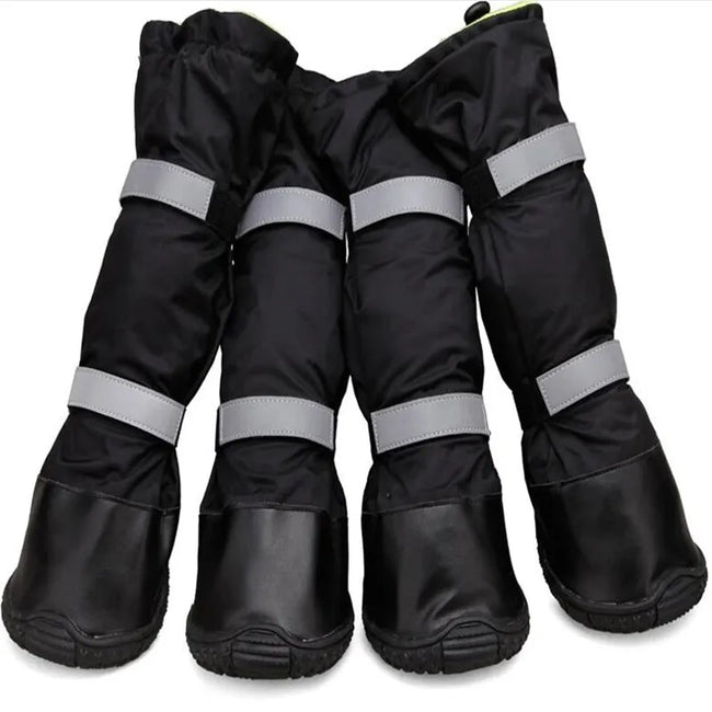 Big Dog Non Slip Shoes Hover Image