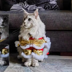 Spring Festival Lion Dance Custome for Pets