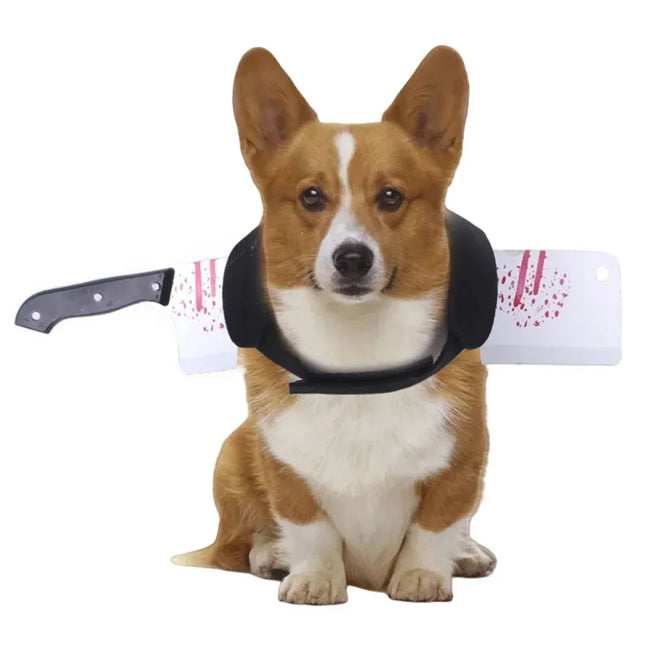 Halloween Inspired Dog Costume Hover Image