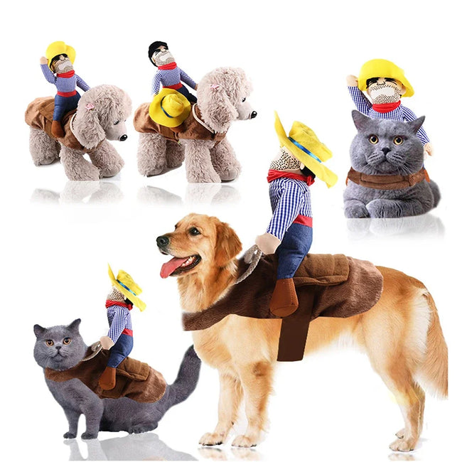 Funny Cowboy on Dog Costume Main Image