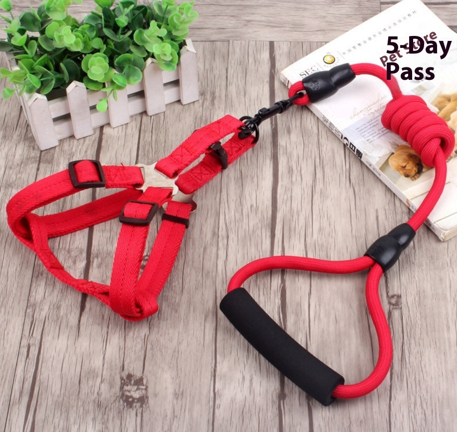 Dog Collar and Leash
