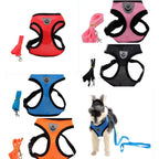 Dog Harness and Leash Fashionable High-end Multi-colour