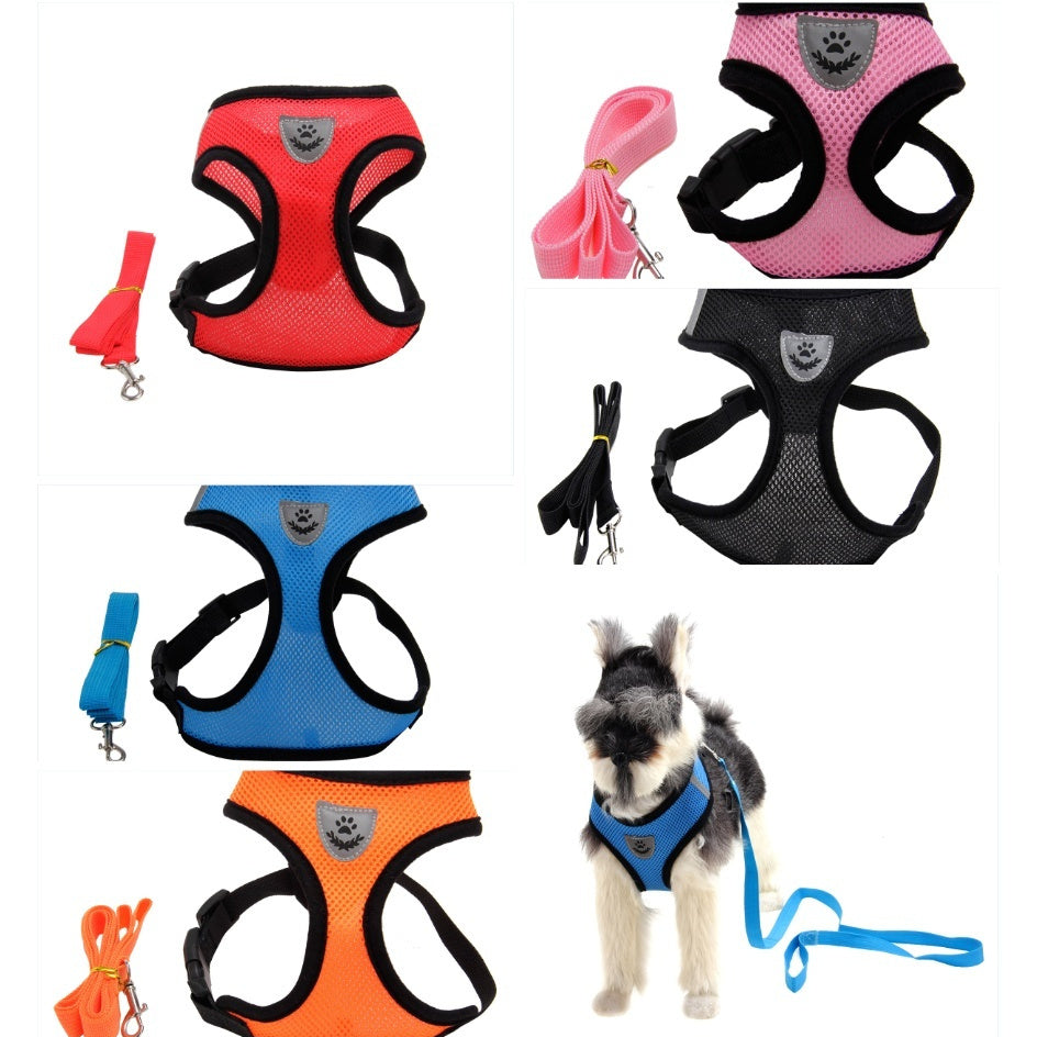 Dog Harness and Leash Fashionable High-end Multi-colour