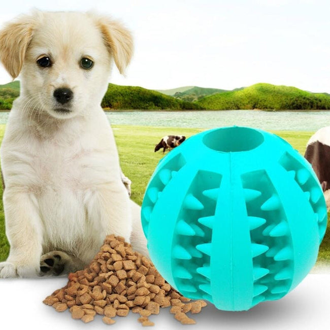 Pet Slow Feeder Rubber Ball Toy Hover Image